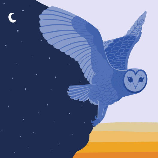 Owl&#39;s Sky